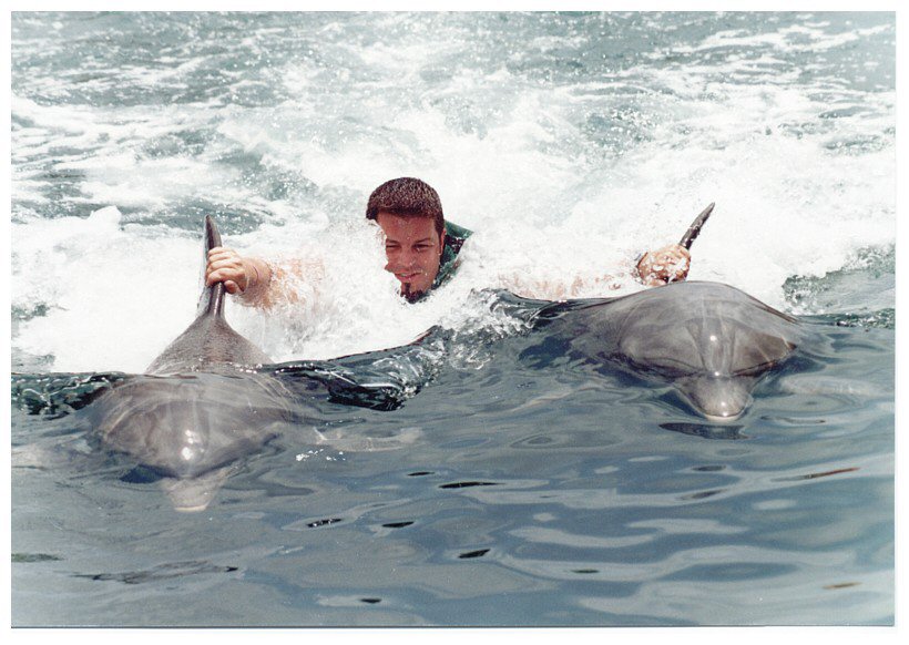 Rand Smith Dolphin Discovery Isla Mujeres Mexico